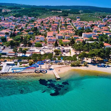 Olive * Супетар